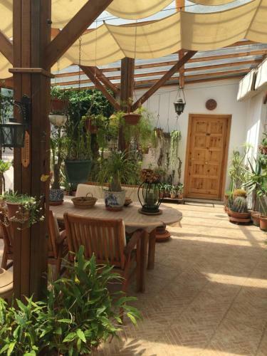 Relaxing Villa Close To Rome With Private Swimming Pool