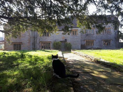 Agroturismo The Manor House, Curry Mallet