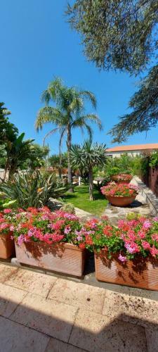 Apartamento Stella Maris D