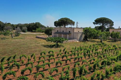 Agroturismo Masseria Lilei