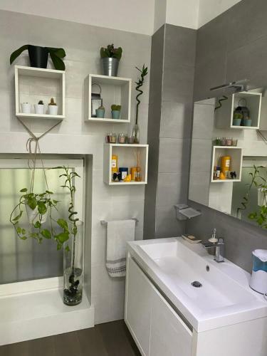Apartamento Raroom Luxury Home