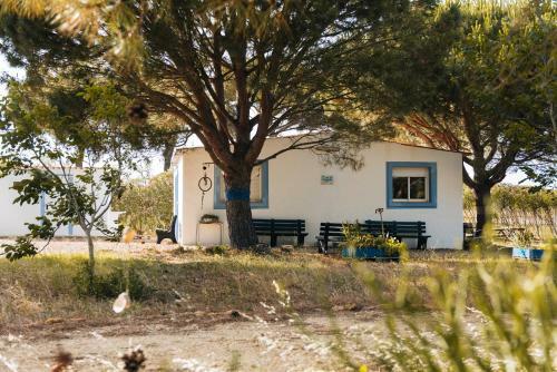 Agroturismo El Oasis de Anayansi