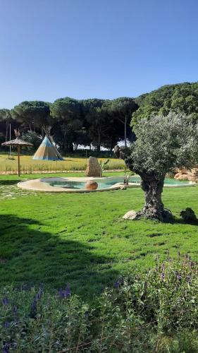 Agroturismo El Oasis de Anayansi