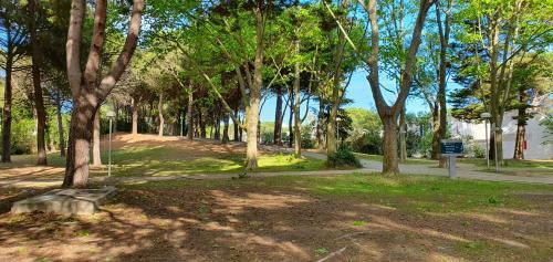 Apartamento Beau T2 Proche Plage Et Commerces, Logia