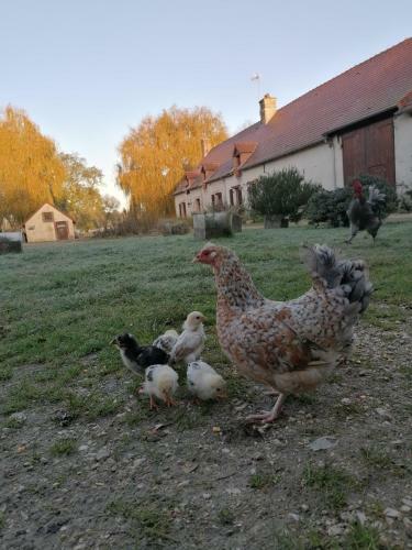 L'auberge 14/25 Pers 30min Beauval Chambord