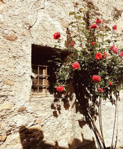 Apartamento L'aquilone