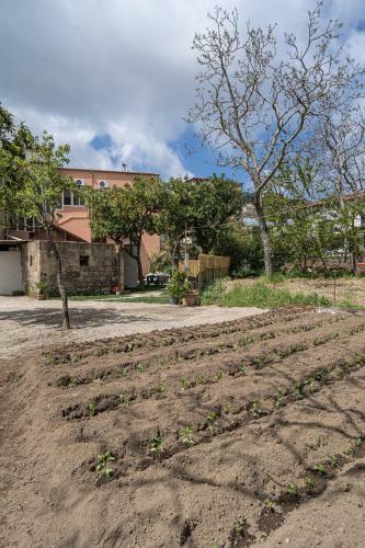 Bed & Breakfast Il Casale Di Don Matteo