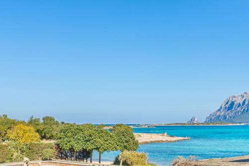 Apartamento Bilo Danilo Few Minutes From Sea