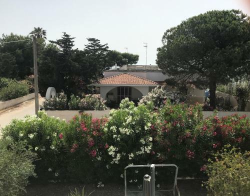 Terrazza Sul Mare