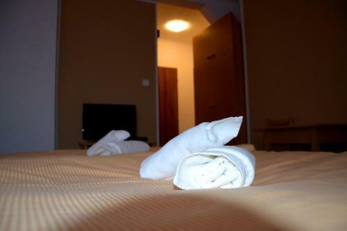 Hostal Penzion Svat� J�n