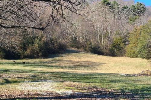 Cottage On 4 Acres, 8 Min To Shops, 15 Downtown/ut