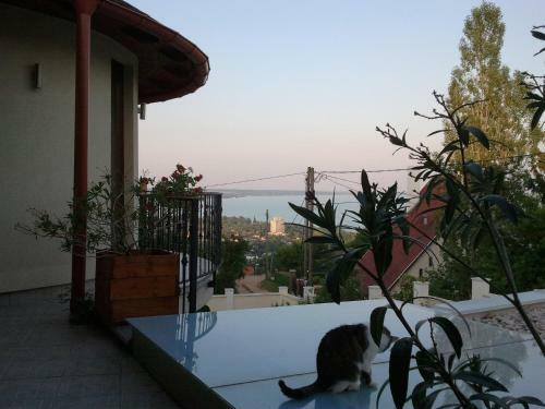 Bed & Breakfast Sz�pkil�t�s Vend�gh�z