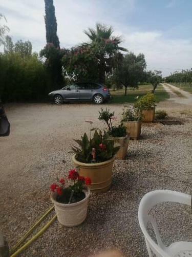 Hostal Mon Petit Paradis