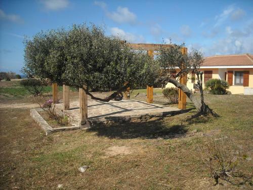 Agroturismo Agriturismo Depalmas