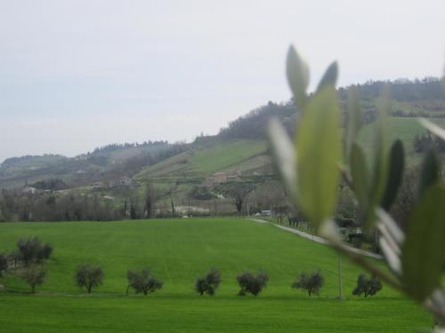 Agroturismo Le Spighe Agriturismo