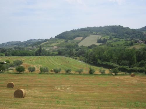 Agroturismo Le Spighe Agriturismo