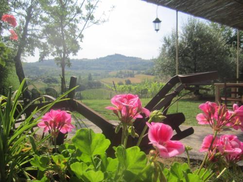 Agroturismo Le Spighe Agriturismo