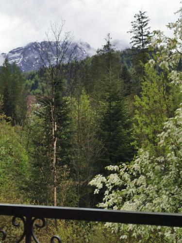 Apartamenty Villa Ski-b�wki