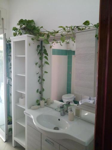 Apartamento Olbia Center House