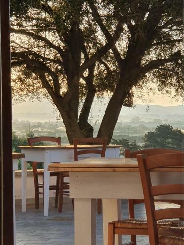 Bed & Breakfast Nacchinono