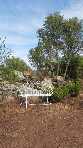 Bed & Breakfast Nacchinono