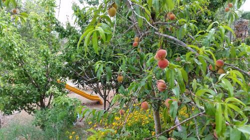 Hotel Masseria Ruri Pulcra