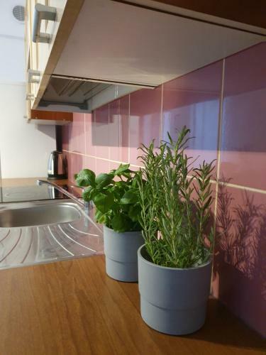 Apartament Bretowska Brama IV