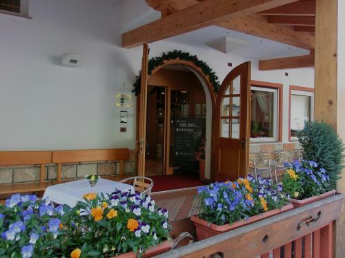 Hotel Belvedere Wellness & Family