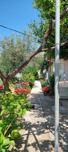 Anna House Dhermi