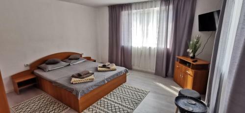 Hostal Casa de Vacan?? Baile Herculane