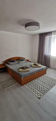 Hostal Casa de Vacan?? Baile Herculane