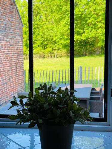 Zen In de Vlaamse Ardennen - Sesjans