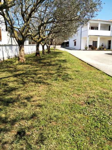 Apartman Ulika