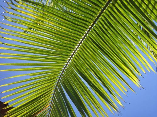 Sun-kissed Holidays Goa-sapphire