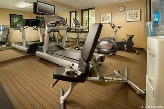 Hotel Holiday Inn Express Fairfax-arlington Boulevard