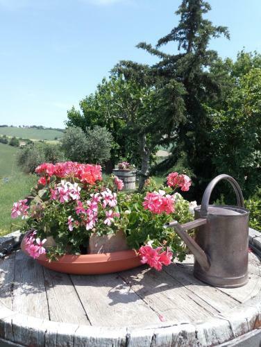 Apartamento Poggio Delle Lavande