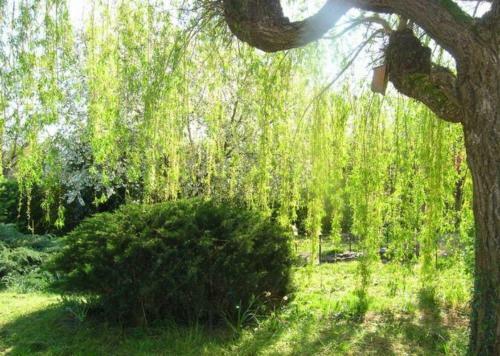 Hostal M�lodie Lumineuse Et Spacieuse � 6km Du Pal