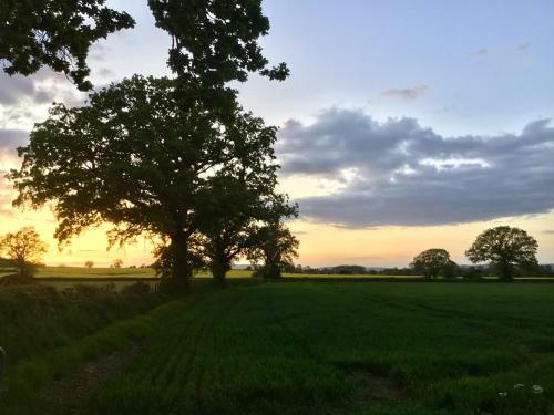 Archers Glamping Meadow