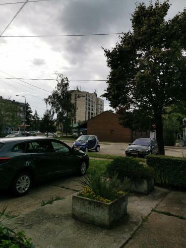 Apartman Stefan Kladovo