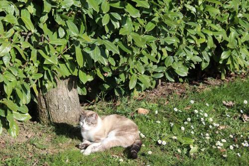 Agroturismo Fattoria Di Rigone