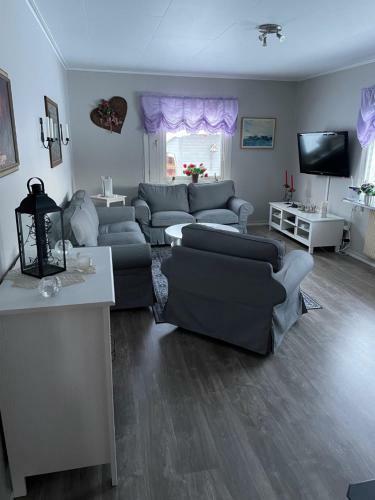 Villa Lillh�rdal