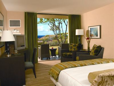 Hotel Waikoloa Marriott (pool View-leisure)