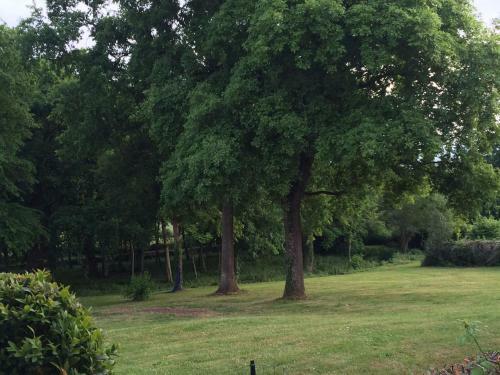 Bed & Breakfast Ch�teau Le Barreau - Chambres D'h�tes