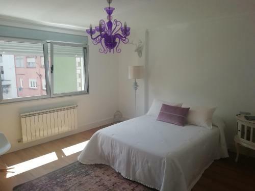 Apartamento C�ntrico Y Amplio Piso Con Plaza Parking