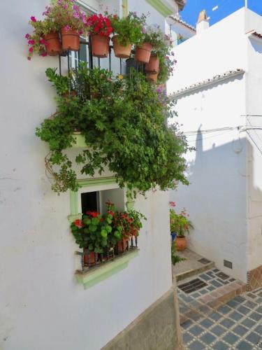 Luxury Boutique Townhouse - La Casa Amada