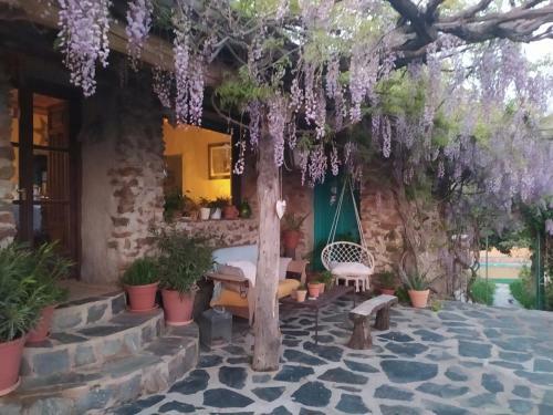 Bed & Breakfast Cortijo La Chaparra