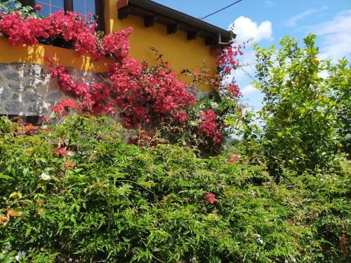 La Casita de Las Flores