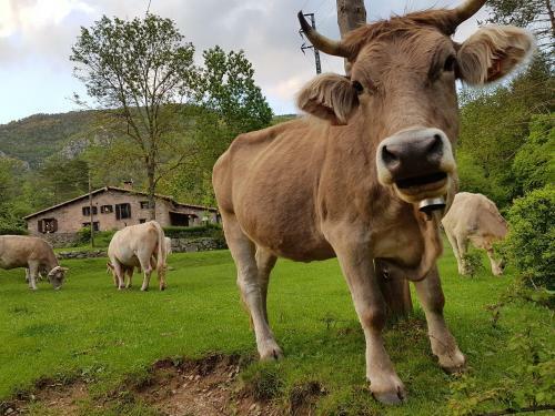 Agroturismo Pla de La Molina