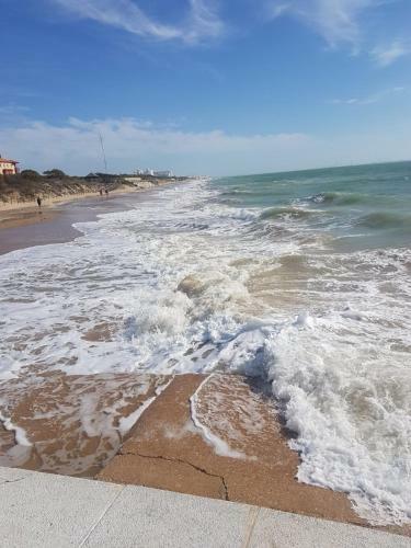 Apartamento La Costilla Centro Y Playa