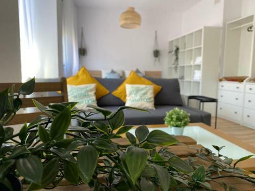 Apartamento Estudio En Pleno Centro